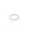 Apple Lightning to USB-C Cable (2 m) - nr 28