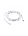Apple Lightning to USB-C Cable (2 m) - nr 42