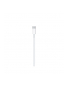Apple Lightning to USB-C Cable (2 m) - nr 45