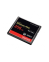 Sandisk CF 256GB ExtremePro2 160MB/s - nr 21