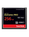 Sandisk CF 256GB ExtremePro2 160MB/s - nr 7