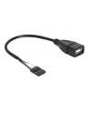 DeLOCK Adapter - USB 2.0 - 4Pin header - nr 6