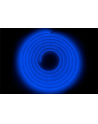 Phobya LEDFlexlight HighDensity blue 500cm - nr 1