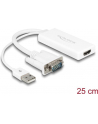 DeLOCK Adapter - VGA + USB - HDMI - nr 16