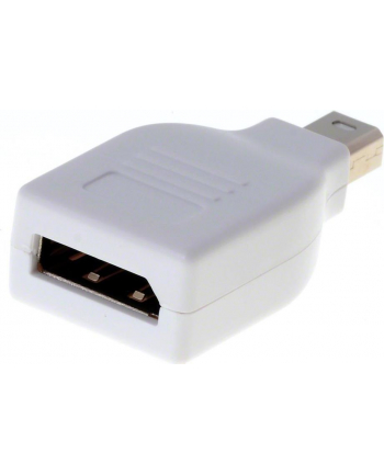 DeLOCK Adapter - miniDisplayPort - DisplayPort - biały