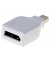 DeLOCK Adapter - miniDisplayPort - DisplayPort - biały - nr 13