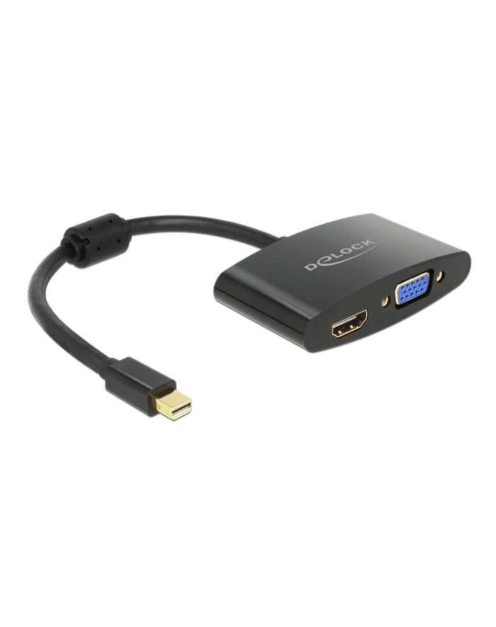 DeLOCK Adapter - VGA/HDMI - DisplayPort główny