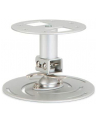 CEILING MOUNT SHORT FOR ALL ACER PROJECTORS - nr 27