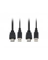 LevelOne CABLE KVM SWITCH 2 PORTS .                                IN - nr 18