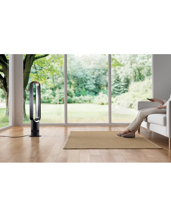 Dyson Wentylator                    AM 07 główny