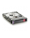 Hot-Plug 300GB 10K Rpm 2.5 Dualport SAS (zam: 689287-001, 507127-B21, 507119-004, 507129-004, 418399-001, 432320-001, 518011-002 , 389346-001, 625271-001 , 518194-002, 507283-001, 689287-001) - nr 13