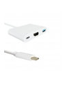 Kabel USB Qoltec 3.1 typCM /  HDMI AF+USB AF+USB C - nr 1