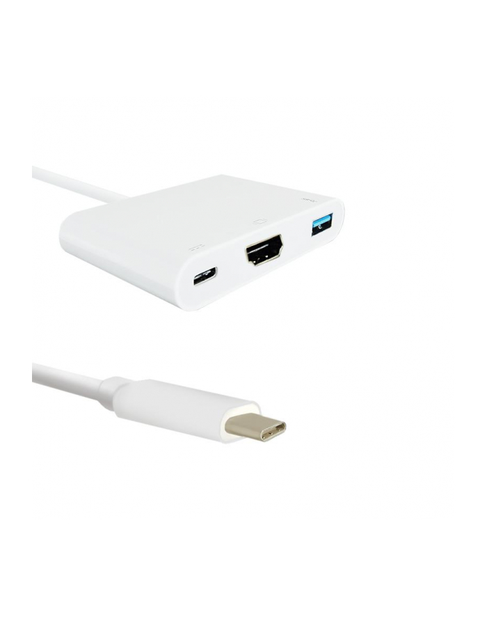 Kabel USB Qoltec 3.1 typCM /  HDMI AF+USB AF+USB C główny