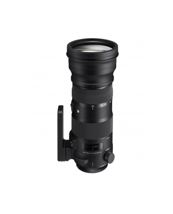 Sigma 150-600mm F5.0-6.3 DG OS HSM for Canon [Contemporary]