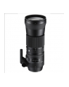Sigma 150-600mm F5.0-6.3 DG OS HSM for Nikon [Contemporary] - nr 12