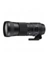 Sigma 150-600mm F5.0-6.3 DG OS HSM for Nikon [Contemporary] - nr 16