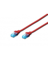Digitus Kabel patch cord UTP, CAT.5E, czerwony, 0.25m, 15 LGW - nr 1