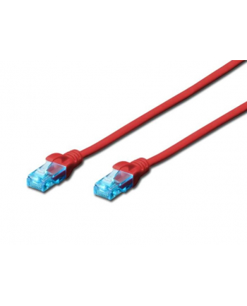 Digitus Kabel patch cord UTP, CAT.5E, czerwony, 0.25m, 15 LGW