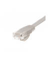 Netrack patchcord RJ45, osłonka zalewana, kat 5e UTP, 3m szary, PŁASKI - nr 2