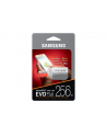 Samsung Karta pamięci Micro SD Card EVO PLUS 256GB w/o Adapter - nr 18