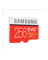 Samsung Karta pamięci Micro SD Card EVO PLUS 256GB w/o Adapter - nr 27