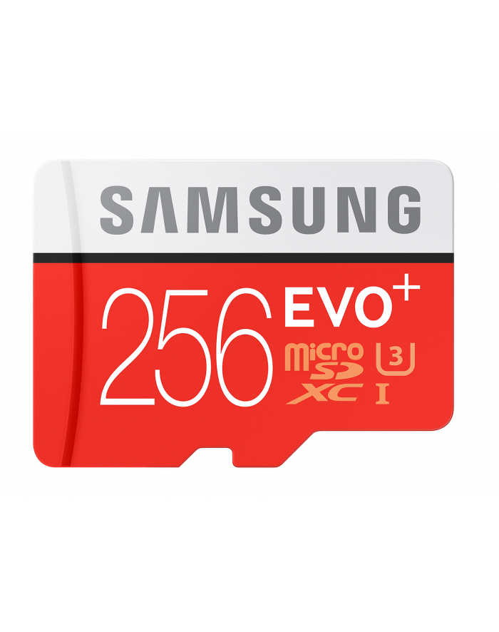 Samsung Karta pamięci Micro SD Card EVO PLUS 256GB w/o Adapter główny