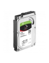 HDD int. 3,5 4TB Seagate Ironwolf, SATA 6Gb/s 5900rpm 64MB - nr 25