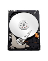 Dysk Seagate BarraCuda, 2.5'', 500GB, SATA/600, 5400RPM, 128MB cache - nr 74
