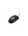 Lenovo ThinkPlus USB Optical Wheel Mouse - nr 1