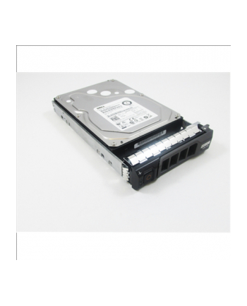 Dell HDD 3.5IN NLSAS 12G 7.2K 4.00T HOTPLUG 512N FULL ASS KIT nr 1