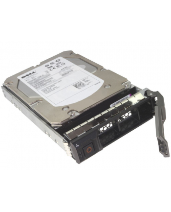 Dell HDD 3.5IN NLSAS 12G 7.2K 4.00T HOTPLUG 512N FULL ASS KIT nr 2