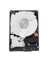 WESTERN DIGITAL Dysk WD WD2005FBYZ WD Gold 3.5'' 2TB 7200 128MB SATA 6Gb/s - nr 31