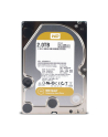 WESTERN DIGITAL Dysk WD WD2005FBYZ WD Gold 3.5'' 2TB 7200 128MB SATA 6Gb/s - nr 43