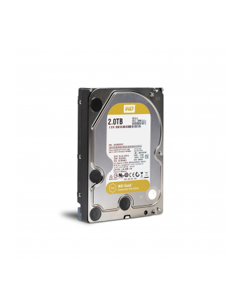 WESTERN DIGITAL Dysk WD WD2005FBYZ WD Gold 3.5'' 2TB 7200 128MB SATA 6Gb/s