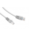 Gembird patchcord RJ45, osłonka zalewana, kat. 6, UTP, 1m, szary - nr 9