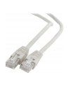 Gembird patchcord RJ45, osłonka zalewana, kat. 6, UTP, 5m, szary - nr 18