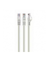 Gembird patchcord RJ45, osłonka zalewana, kat. 6, UTP, 5m, szary - nr 33