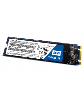 Dysk SSD WD M.2 2280″ 250 GB SATA 6 Gb/s 540MB/s 500MS/s