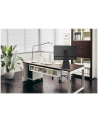 NewStar Uchwyt Nabiurkowy do Monitora (stand) - nr 41