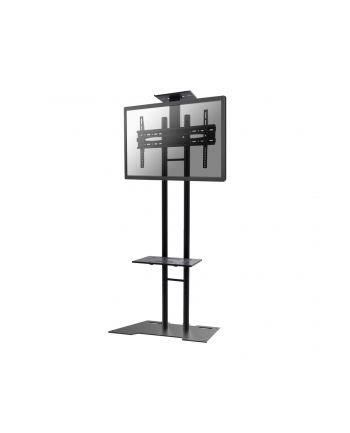 NewStar Stojak Mobilny, Wózek do LED/LCD- (wysokość: 155-170 cm)