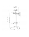 NewStar Stojak Mobilny, Wózek do LED/LCD- (wysokość: 155-170 cm) - nr 18