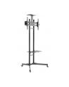 NewStar Stojak Mobilny, Wózek do LED/LCD- (wysokość: 155-170 cm) - nr 25