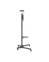 NewStar Stojak Mobilny, Wózek do LED/LCD- (wysokość: 155-170 cm) - nr 28