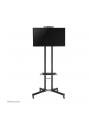 NewStar Stojak Mobilny, Wózek do LED/LCD- (wysokość: 155-170 cm) - nr 36