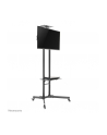 NewStar Stojak Mobilny, Wózek do LED/LCD- (wysokość: 155-170 cm) - nr 37