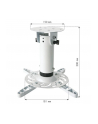Techly Uchwyt sufitowy do projektora 20 cm, 15 kg, biały - nr 20