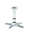 Techly Uchwyt sufitowy do projektora 30/37 cm, 15 kg, srebrny - nr 22