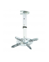 Techly Uchwyt sufitowy do projektora 30/37 cm, 15 kg, srebrny - nr 28