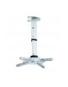 Techly Uchwyt sufitowy do projektora 30/37 cm, 15 kg, srebrny - nr 30