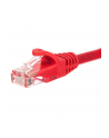 Netrack patchcord RJ45, osłonka zalewana, kat. 6 UTP, 0.25m czerwony - nr 5